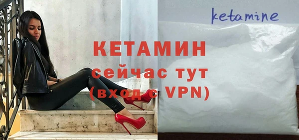 шишки Коряжма