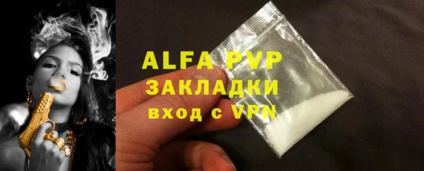 ешки Корсаков