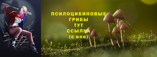 спиды Костерёво