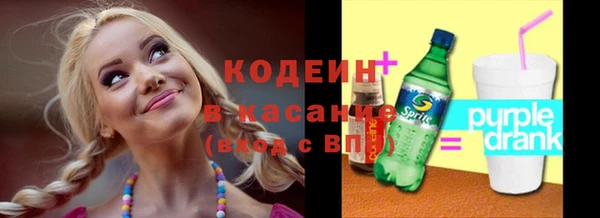 ешки Корсаков