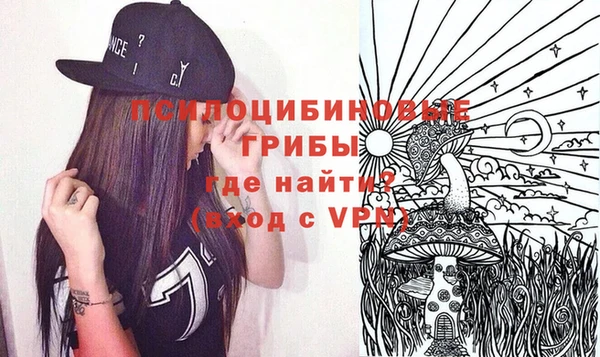 шишки Коряжма