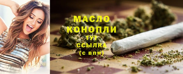 шишки Коряжма