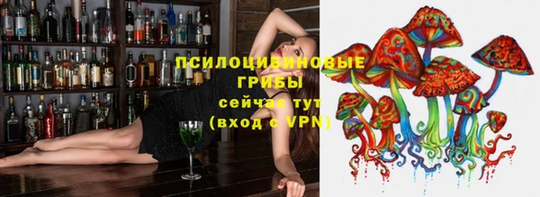 спиды Костерёво