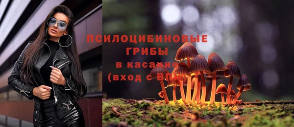 ешки Корсаков