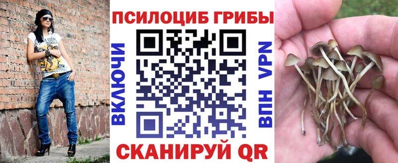 Купить закладки  Кинель  Галлюциногенные грибы прущие грибы 